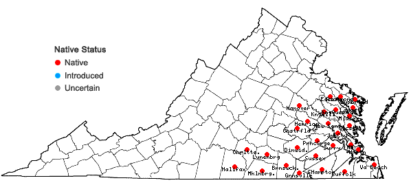 Locations ofEurybia compacta Nesom in Virginia