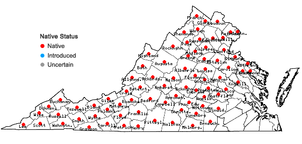 Locations ofEurybia divaricata (L.) Nesom in Virginia