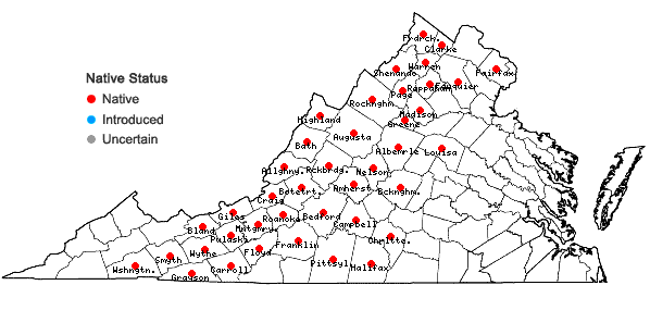 Locations ofEurybia macrophylla (L.) Cass. in Virginia