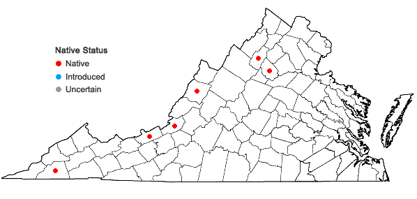 Locations ofEurybia radula (Ait.) Nesom in Virginia