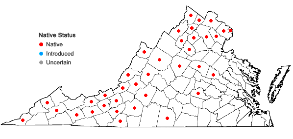 Locations ofEurybia schreberi (Nees) Nees in Virginia