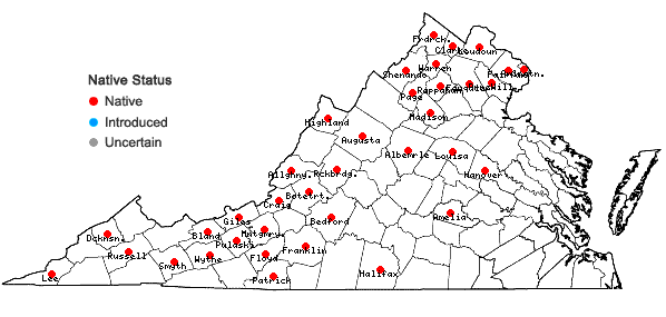 Locations ofEurybia schreberi (Nees) Nees in Virginia