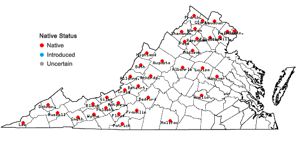 Locations ofEurybia schreberi (Nees) Nees in Virginia