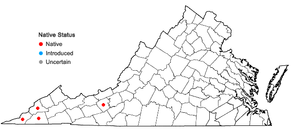 Locations ofEurybia surculosa (Michx.) Nesom in Virginia