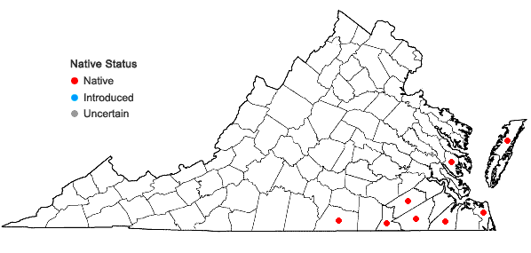 Locations ofEuthamia floribunda Greene in Virginia