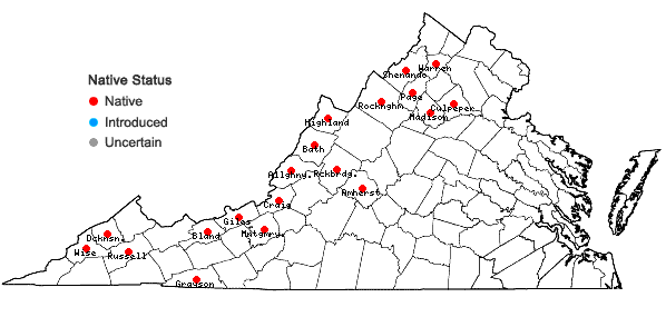 Locations ofEuthamia graminifolia (L.) Nutt. in Virginia