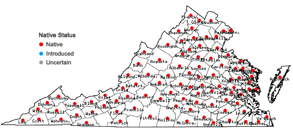 Locations ofEutrochium fistulosum (Barratt) E.E. Lamont in Virginia