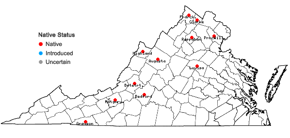 Locations ofEutrochium maculatum (L.) E.E. Lamont var. maculatum in Virginia