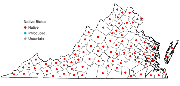 Locations ofEutrochium purpureum (Linnaeus) E.E. Lamont var. purpureum in Virginia