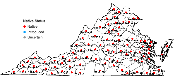 Locations ofEutrochium purpureum (Linnaeus) E.E. Lamont var. purpureum in Virginia