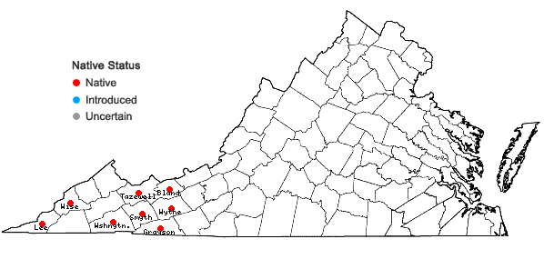 Locations ofEutrochium steelei (E.E. Lamont) E.E. Lamont in Virginia