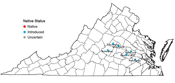 Locations ofExochorda racemosa (Lindl.) Rehd. in Virginia