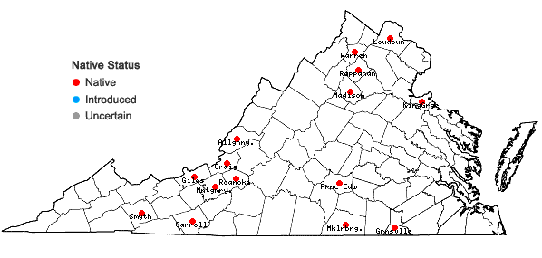 Locations ofFabronia ciliaris (Brid.) Brid. in Virginia