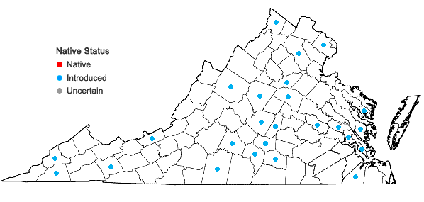 Locations ofFagopyrum esculentum Moench in Virginia