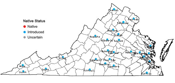 Locations ofFagopyrum esculentum Moench in Virginia