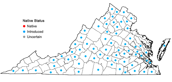 Locations ofFallopia convolvulus (L.) A. Love in Virginia