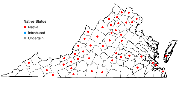 Locations ofFallopia cristata (Engelm. & A. Gray) Holub in Virginia