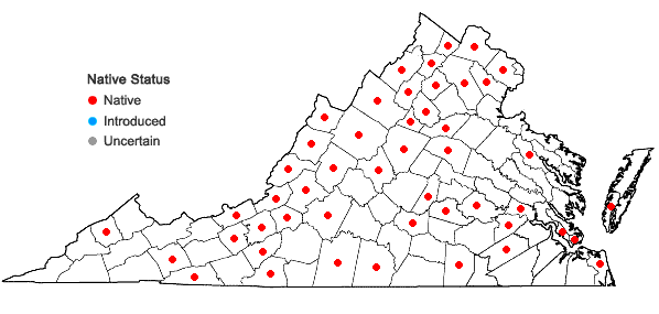 Locations ofFallopia cristata (Engelm. & A. Gray) Holub in Virginia