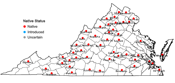 Locations ofFallopia cristata (Engelm. & A. Gray) Holub in Virginia