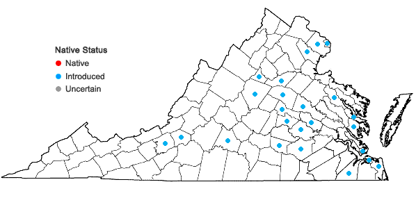 Locations ofFatoua villosa (Thunb.) Nakai in Virginia