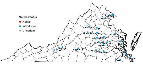 Locations ofFatoua villosa (Thunb.) Nakai in Virginia