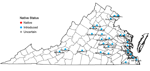 Locations ofFatoua villosa (Thunb.) Nakai in Virginia
