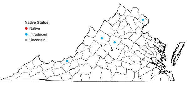 Locations ofFestuca filiformis Pourret in Virginia