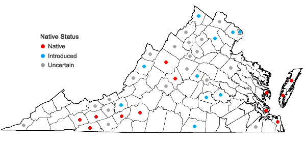 Locations ofFestuca rubra L. in Virginia