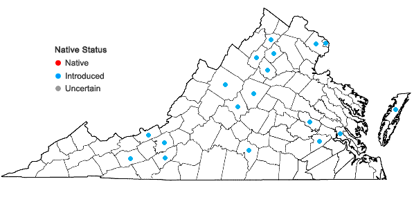 Locations ofFestuca trachyphylla (Hackell) Krajina in Virginia