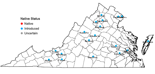 Locations ofFestuca trachyphylla (Hackell) Krajina in Virginia