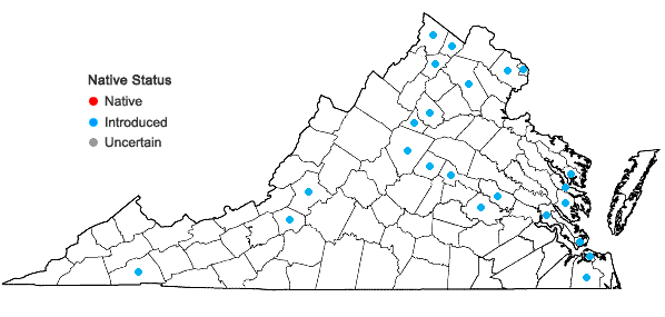 Locations ofFicaria verna Hudson in Virginia