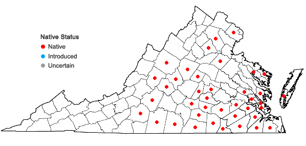 Locations ofFimbristylis annua (Allioni) R. & S. in Virginia