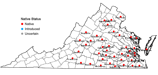 Locations ofFimbristylis annua (Allioni) R. & S. in Virginia