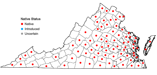 Locations ofFimbristylis autumnalis (L.) R. & S. in Virginia