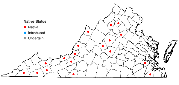 Locations ofFissidens adianthoides Hedwig in Virginia