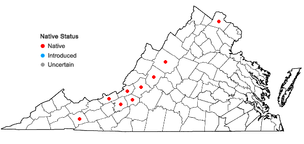 Locations ofFissidens grandifrons Brid. in Virginia