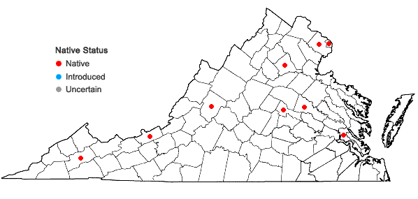 Locations ofFissidens obtusifolius Wilson in Virginia