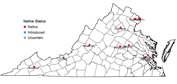 Locations ofFissidens obtusifolius Wilson in Virginia