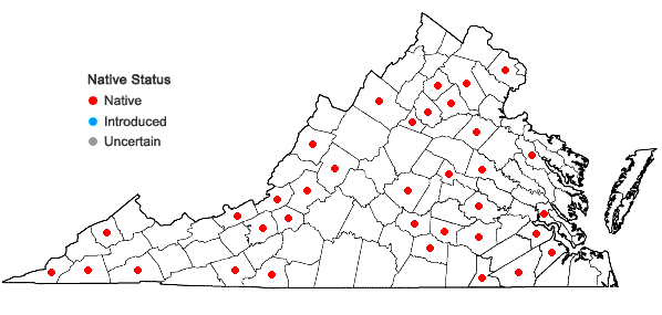 Locations ofFissidens taxifolius Hedwig in Virginia