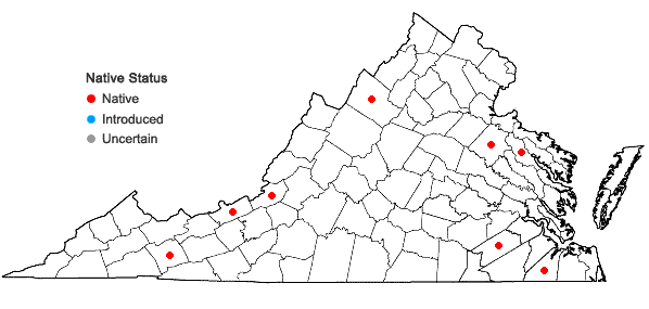 Locations ofFontinalis sphagnifolia (Müll. Hal.) Wijk & Margad. in Virginia