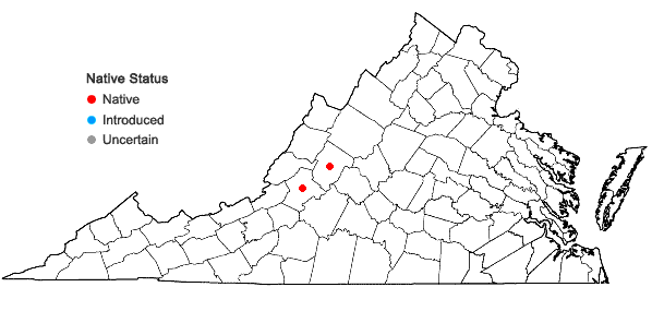 Locations ofForsstroemia producta (Hornsch.) Paris in Virginia