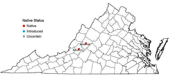 Locations ofForsstroemia producta (Hornsch.) Paris in Virginia