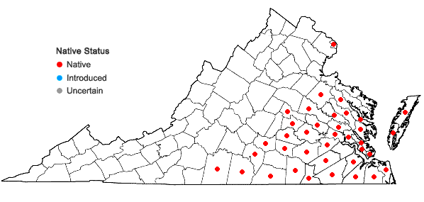 Locations ofForsteronia difformis (Walt.) A. DC. in Virginia