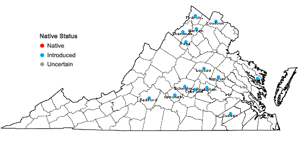 Locations ofForsythia suspensa (Thunb.) Vahl in Virginia