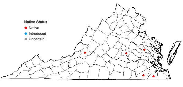 Locations ofFossombronia cristula Austin in Virginia