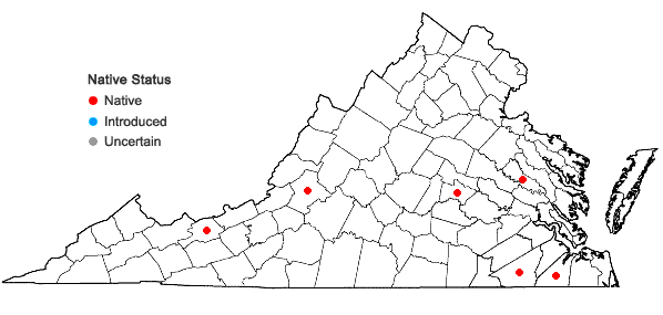 Locations ofFossombronia cristula Austin in Virginia