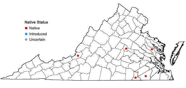 Locations ofFossombronia foveolata Lindb. in Virginia