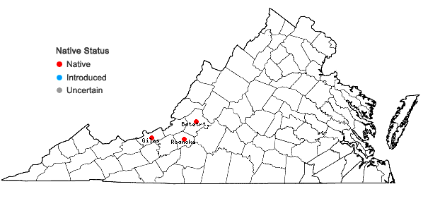 Locations ofFossombronia wondraczekii (Corda) Dumort. ex Lindb. in Virginia