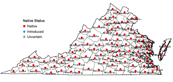 Locations ofFragaria virginiana Duchesne in Virginia