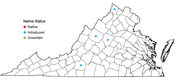 Locations ofFrangula alnus P. Mill. in Virginia